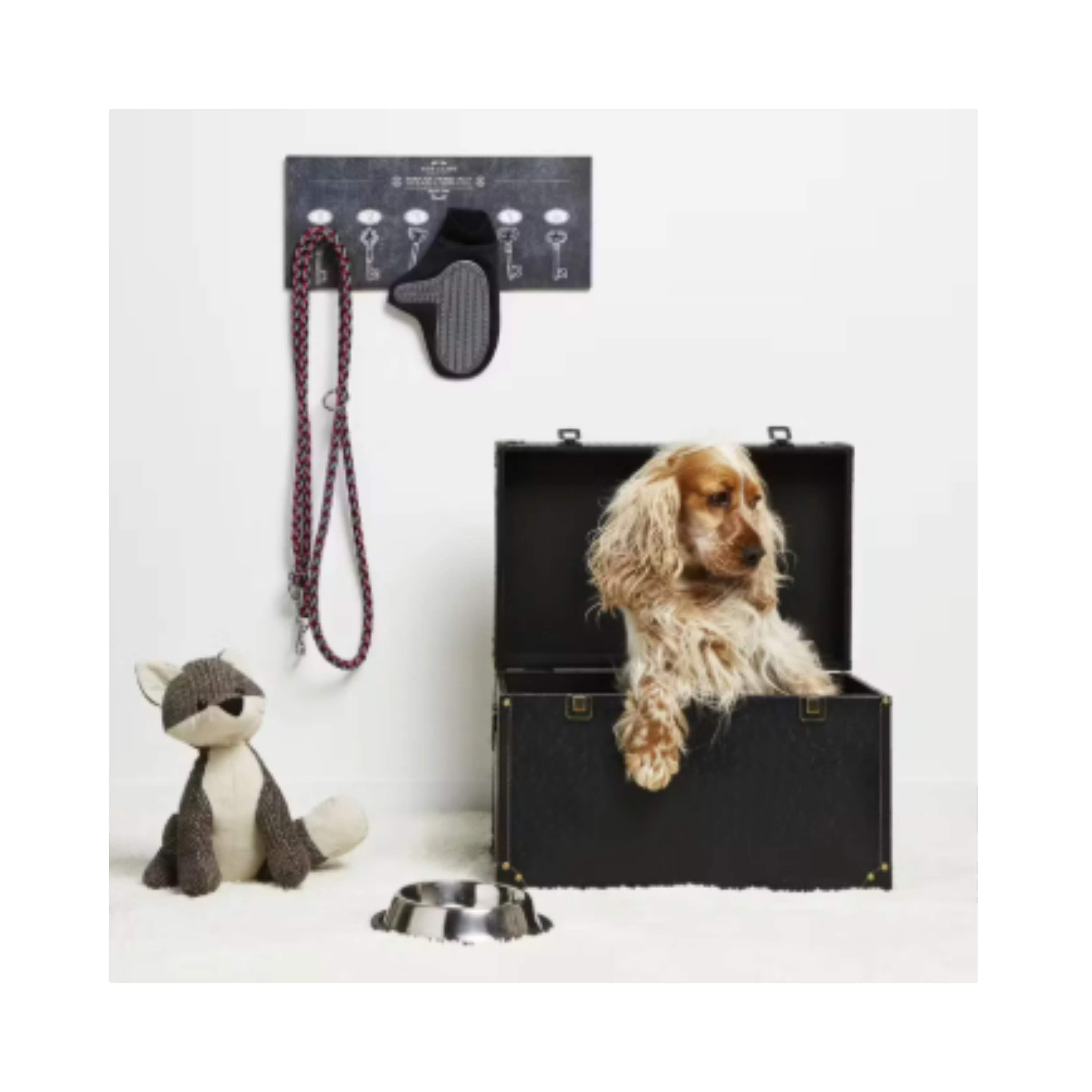 Cuidado, higiene y alimentación