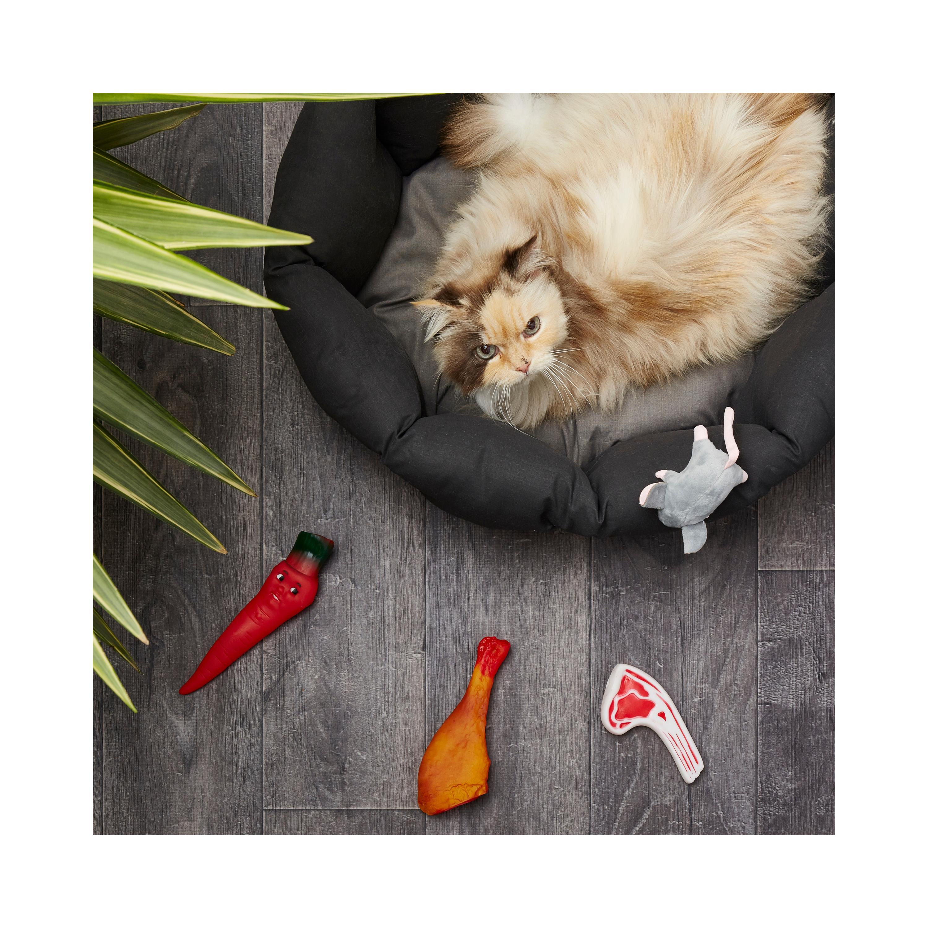 Juguetes para mascotas