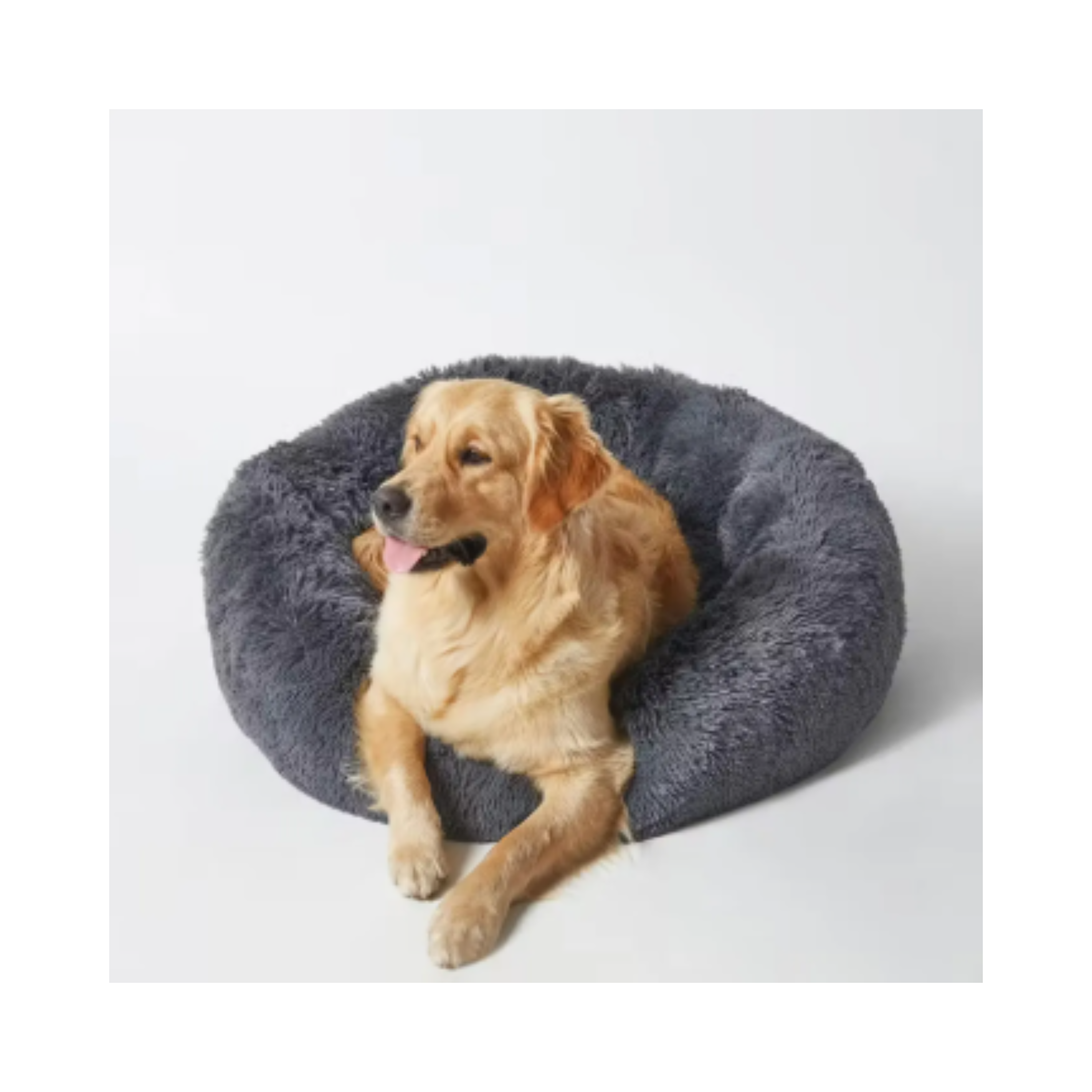 Descanso y transporte